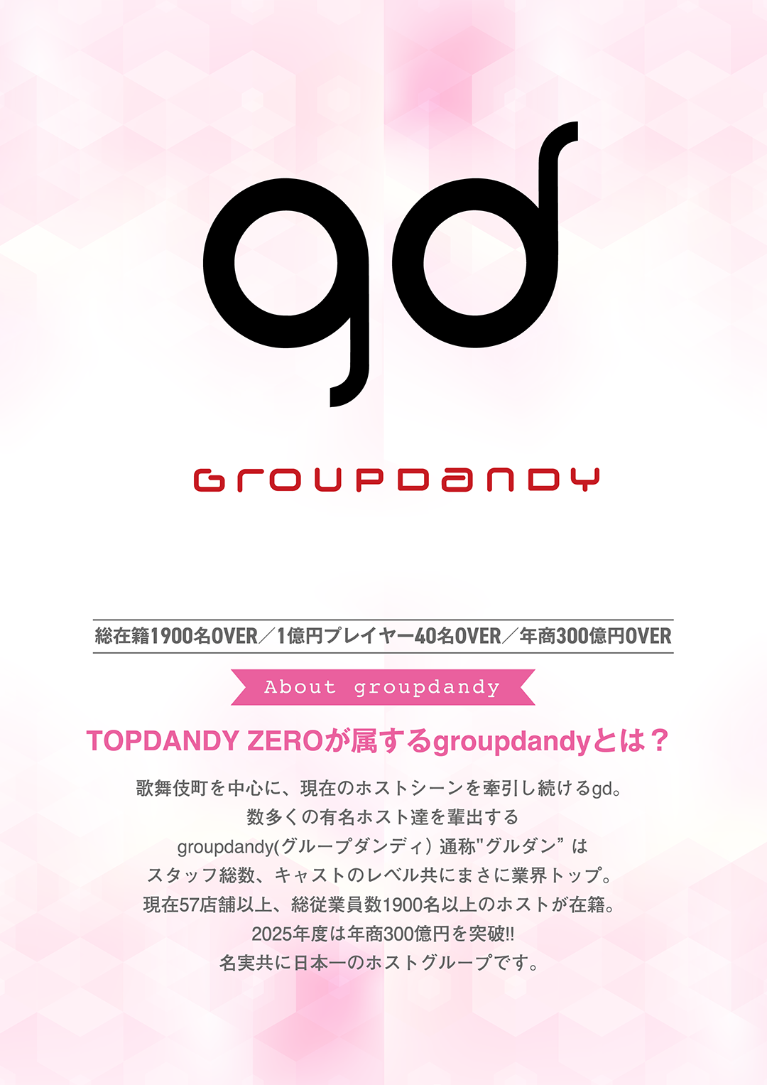 総在籍1800名OVER/1億円プレイヤー40名OVER/年商300億円OVER「TOPDANDY ZEROが属するgroupdandyとは?」